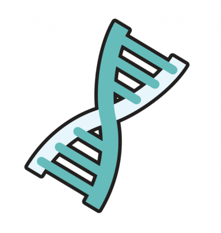 The DNA of Real Estate Beam & Branch Realty